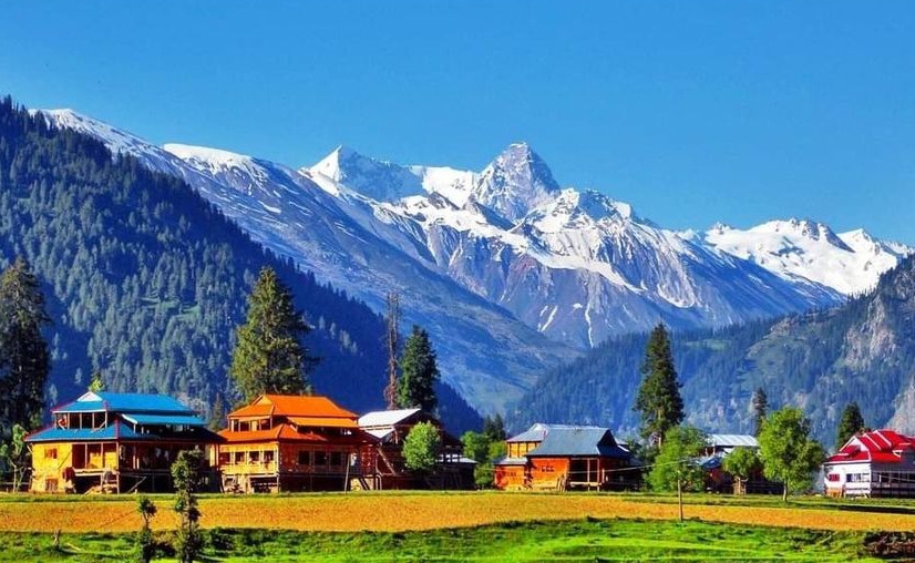 CLASSIC KASHMIR